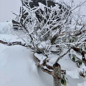 天狗の留まり場