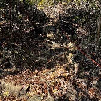 洞山を登り返しているところで足が攣りそうになりしばし休憩。雪がちらつき始めました。先を急ぎます。