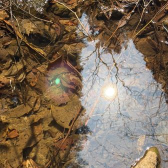 水面に春の日差し☀️