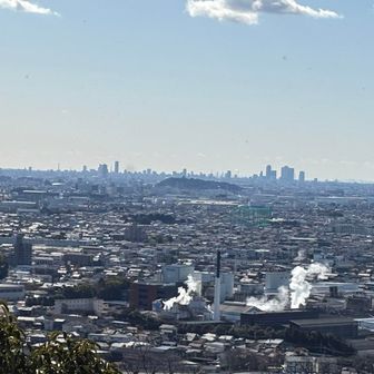 名古屋ビル群  🏙✨️