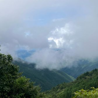 ガスも晴れないので下山😂