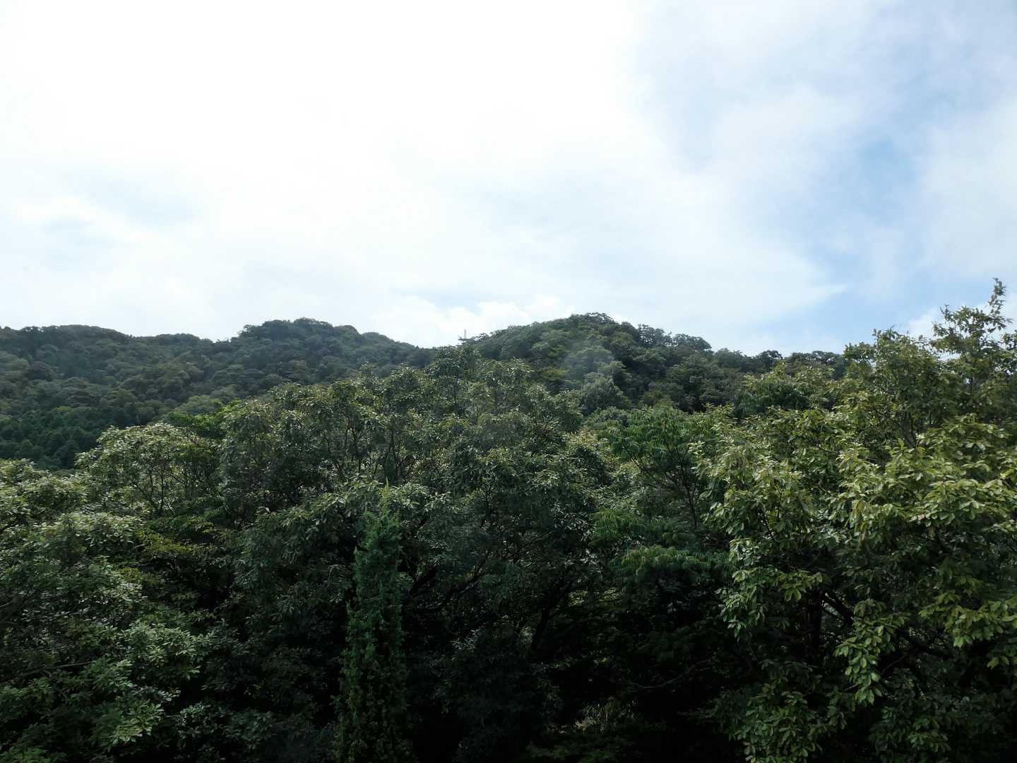 茶臼山