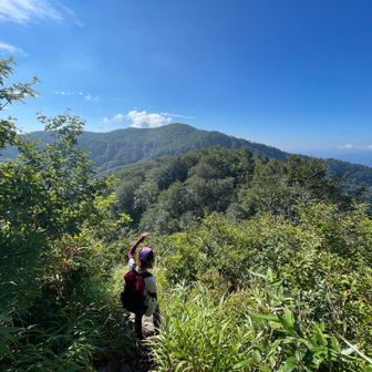 こちらは今から向かう大長山の方⛰️