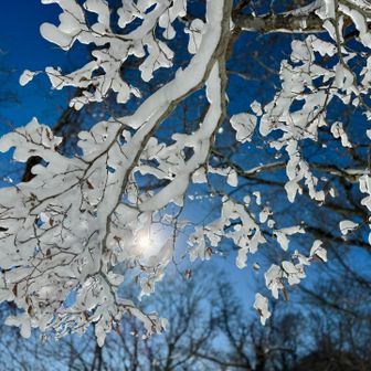 これがトップ画のつもりが
ノリでアレ（有名人のブロマイド風）になった