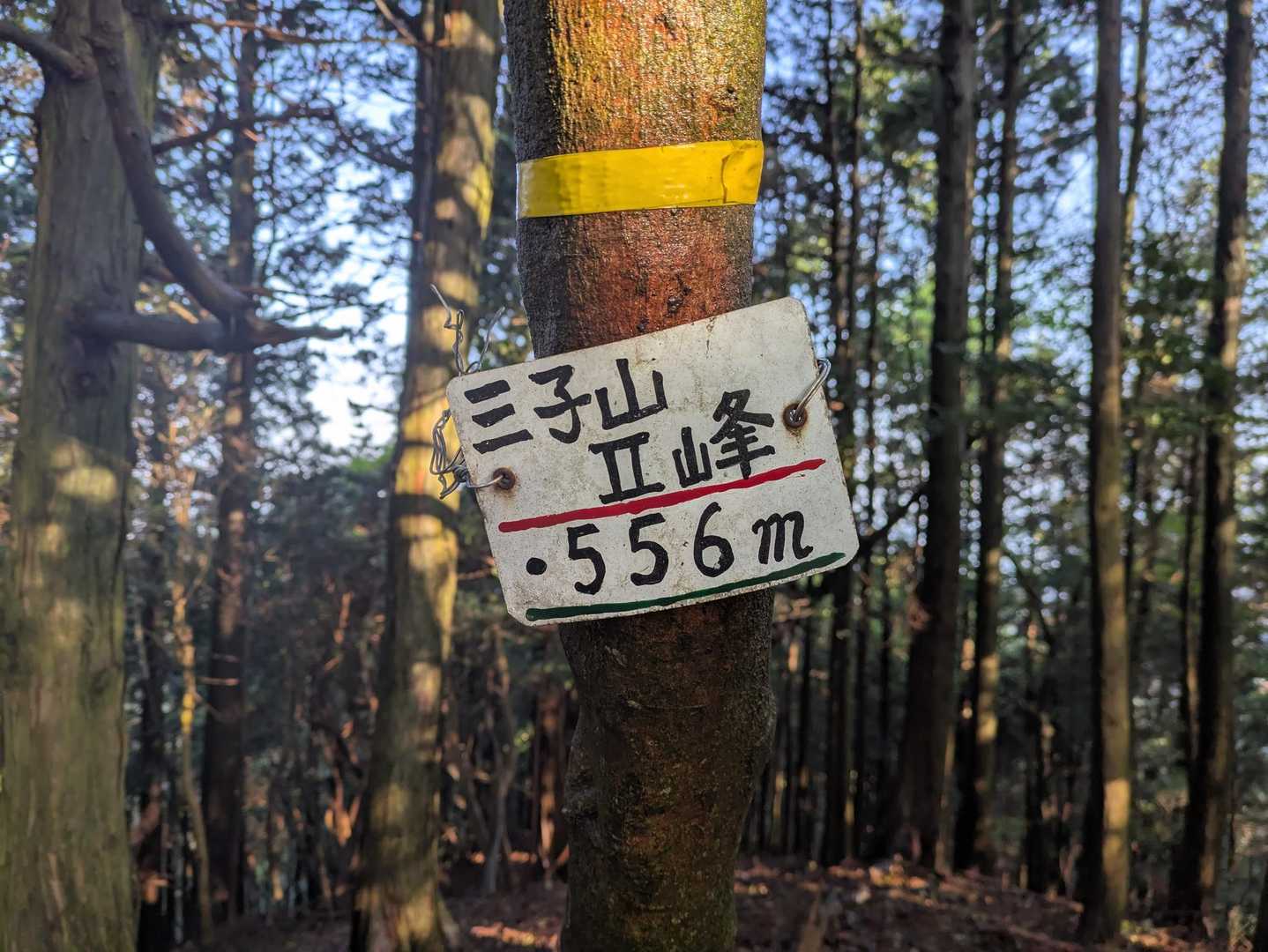 あれ？🤔
三子山南峰（3峰）を見逃したぞ