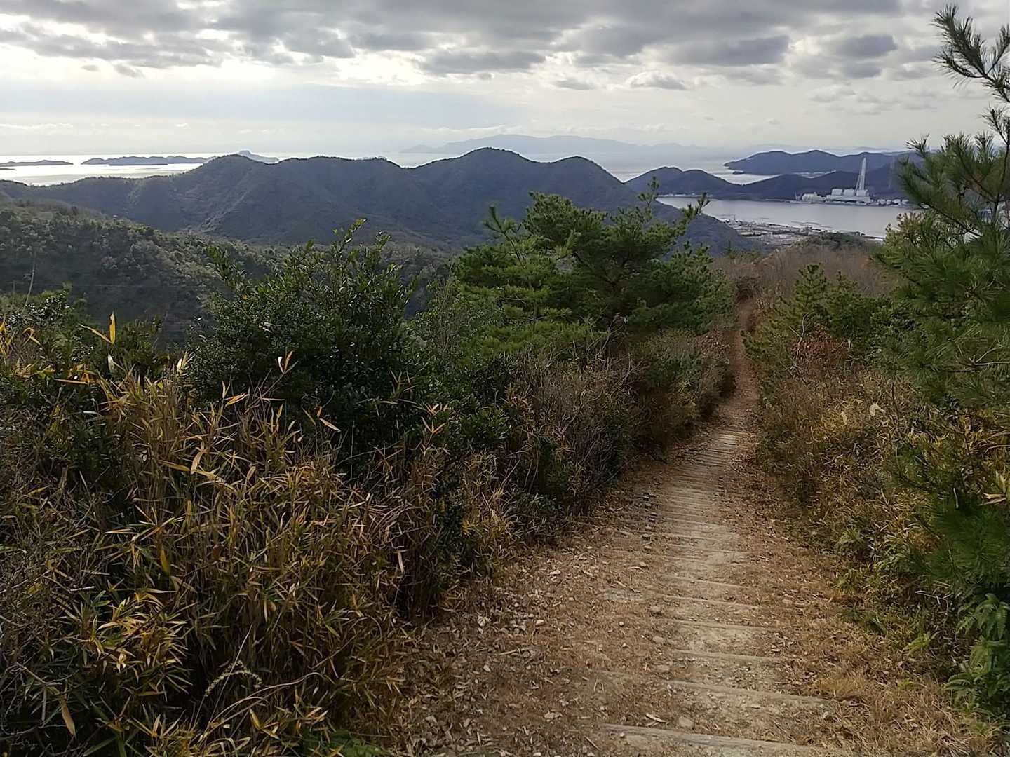 海に向かって！