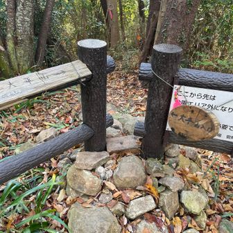 大平山へ向かう🏃‍♂️