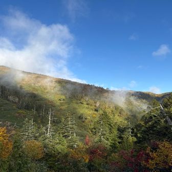 草紅葉が広がっているのが下からもわかる🎶
コレは期待🤩