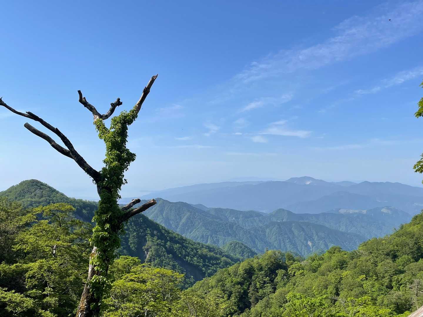 左のあれは何山かなー
檜岳？かなり目立ちます。
私が行く日は来るのかしら。
高松山もちょこっと見えるみたい。
奥には箱根の山波も。
ずっとつながっているんですね。

海も見えて、西丹沢ですら海に近いのだと
なんとなく新鮮に感じました。