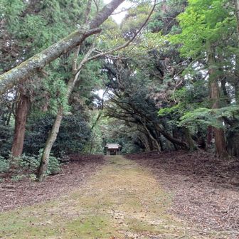 🐵猿田彦神社⛩️