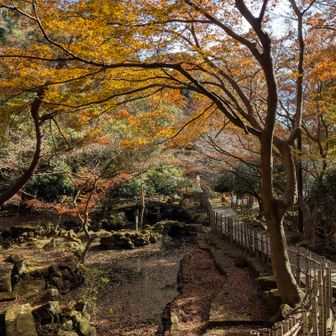 素敵なお池と🍁
12月後半なのにまだ紅葉