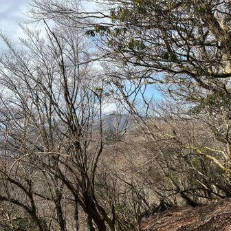 富士山隠れてる