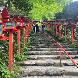 貴船神社　風情がありますね