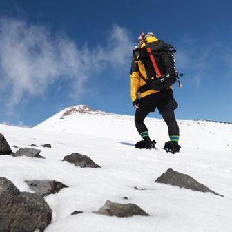 tsnr0397_famimasocks