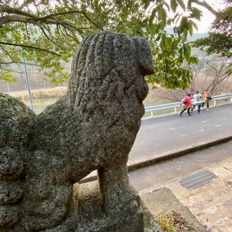 由加山降りてきて狸岩山へ…
歩道歩きましょう🐕