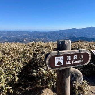 達磨山到着しました〜🙌
山頂には10人ほどの登山者が休憩していた。
しかし、山を楽しむ者たちがそれだけいても、山頂標識の真下に落ちているタバコの吸い殻を拾おうとする者は皆無。日本人よ、大丈夫かい？