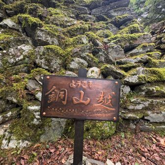 立派👏
