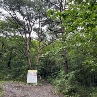 いざ登山口