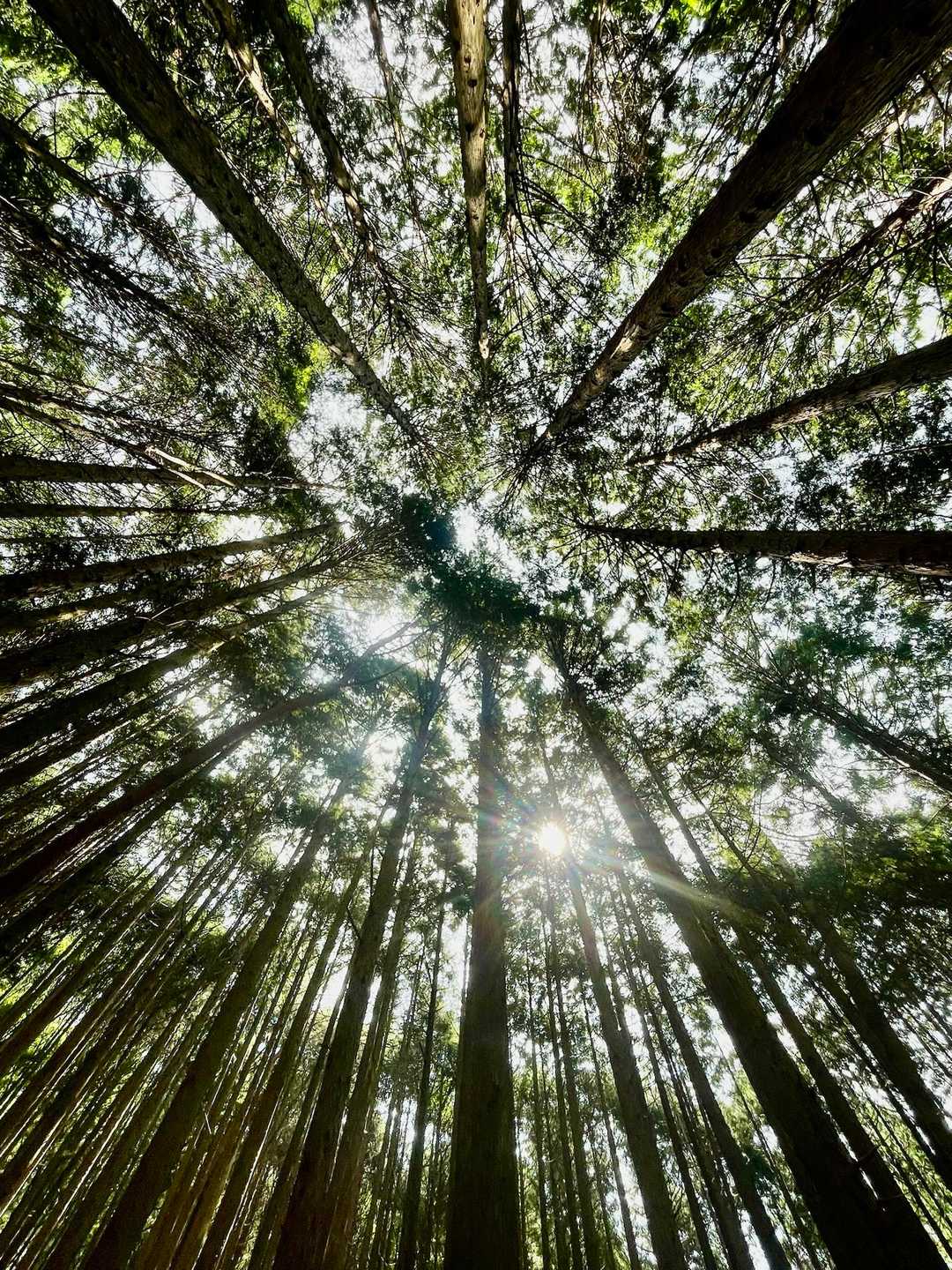 笠置山 往復コースの写真