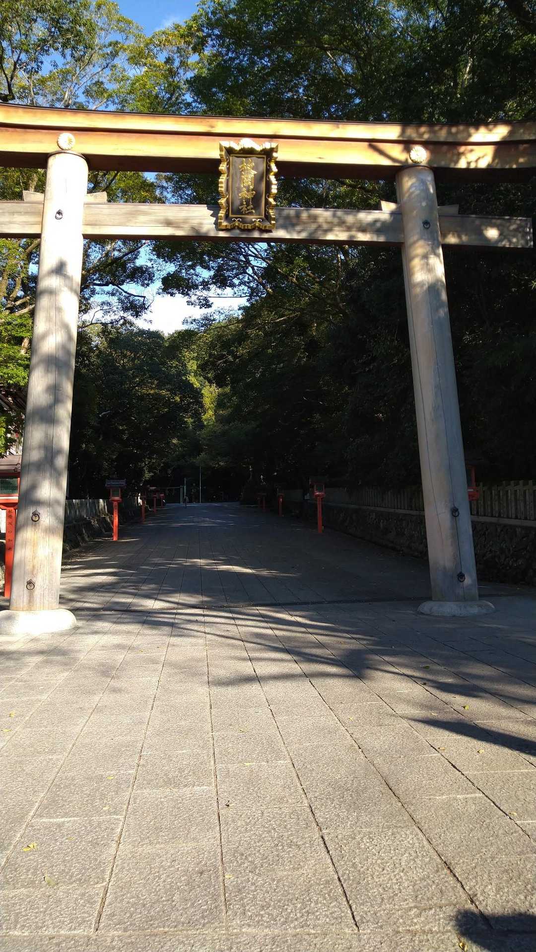 既に夕方😅