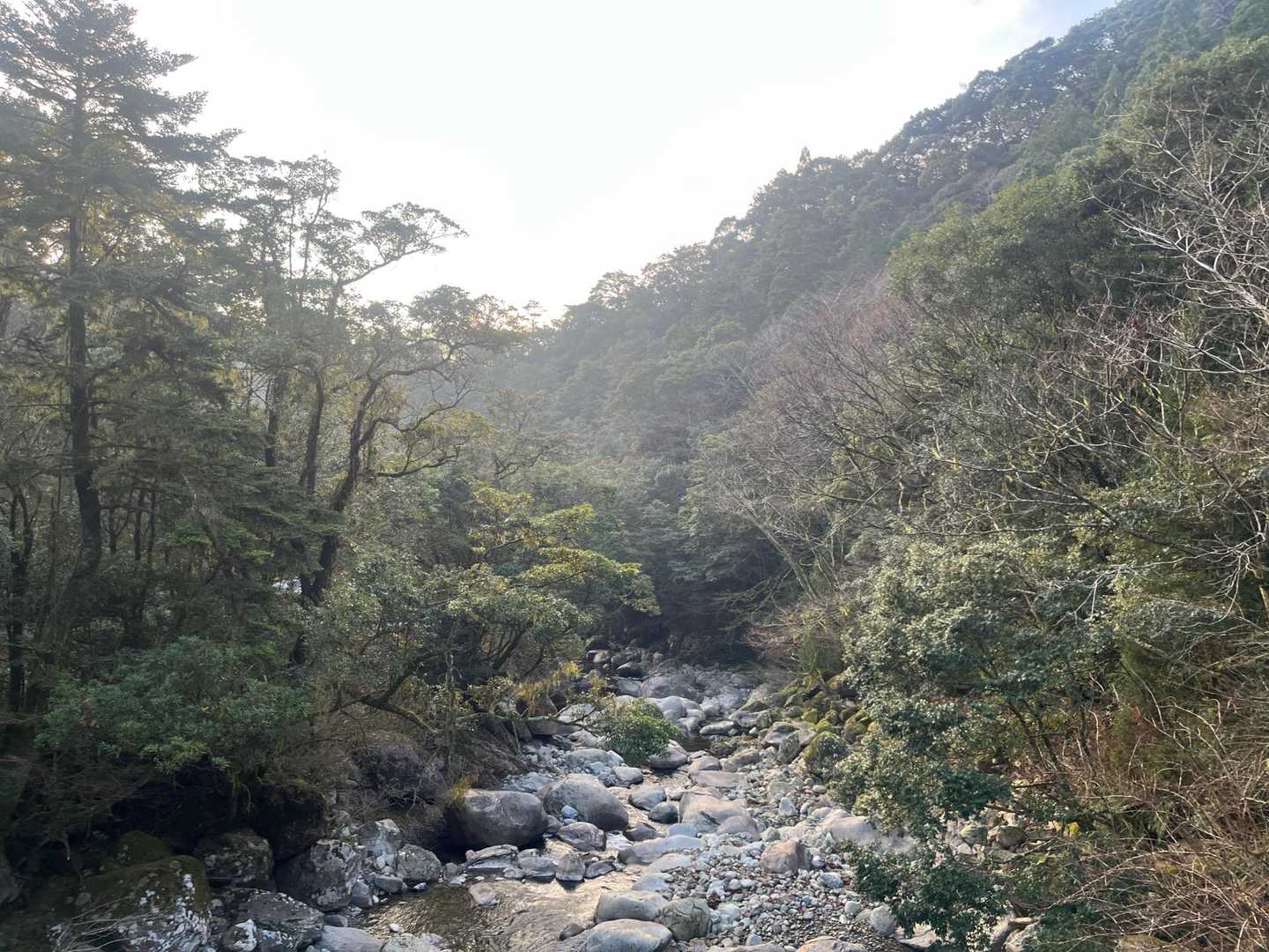 正面登山口-尾鈴山-長崎尾-矢筈岳 周回コースの写真