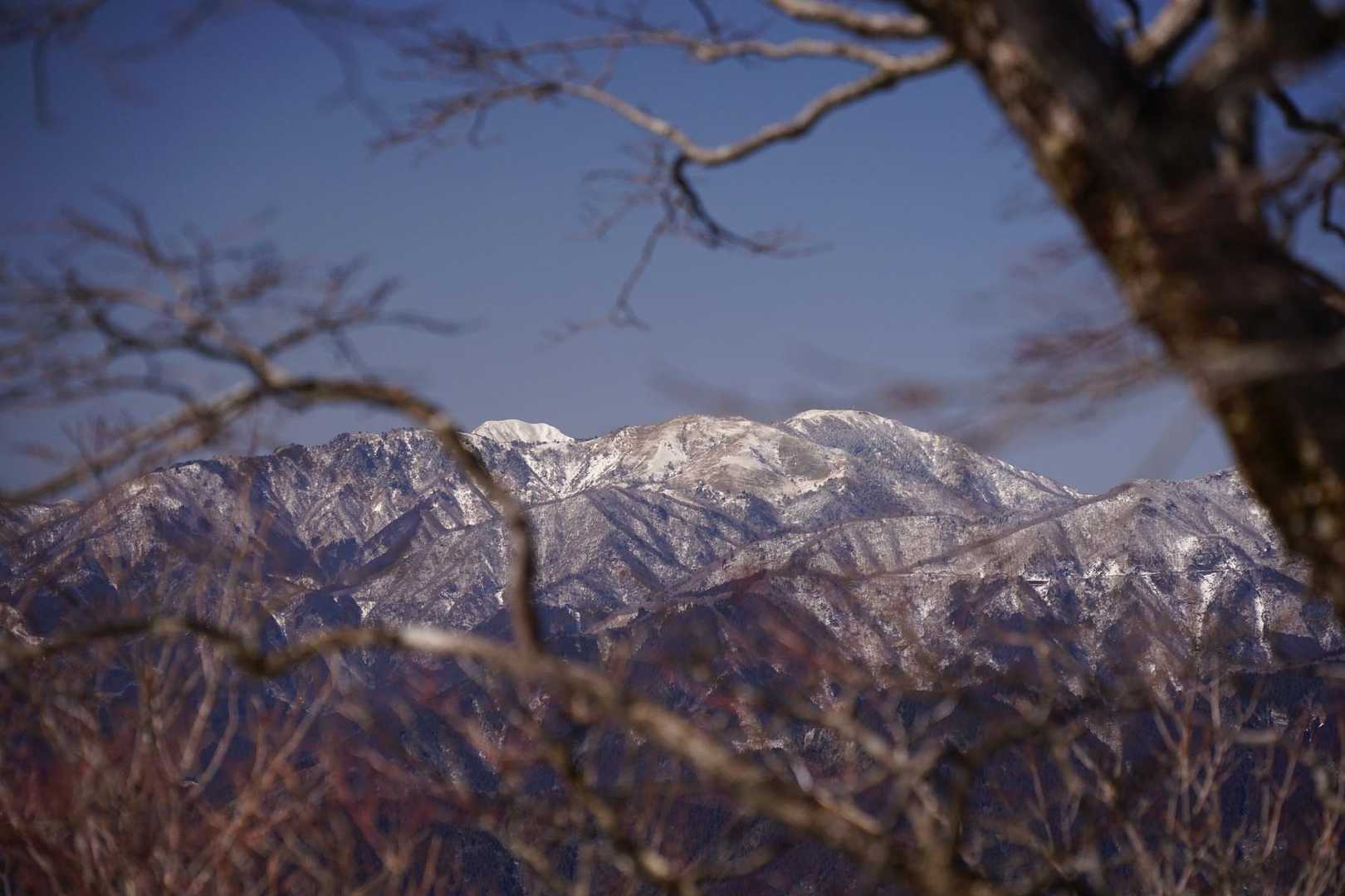 左からジロー、一の森、剣山