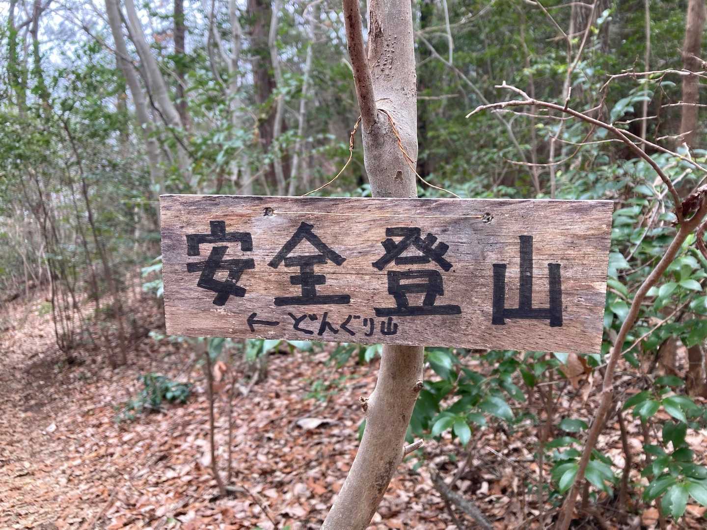 安全登山、良し👍🏼