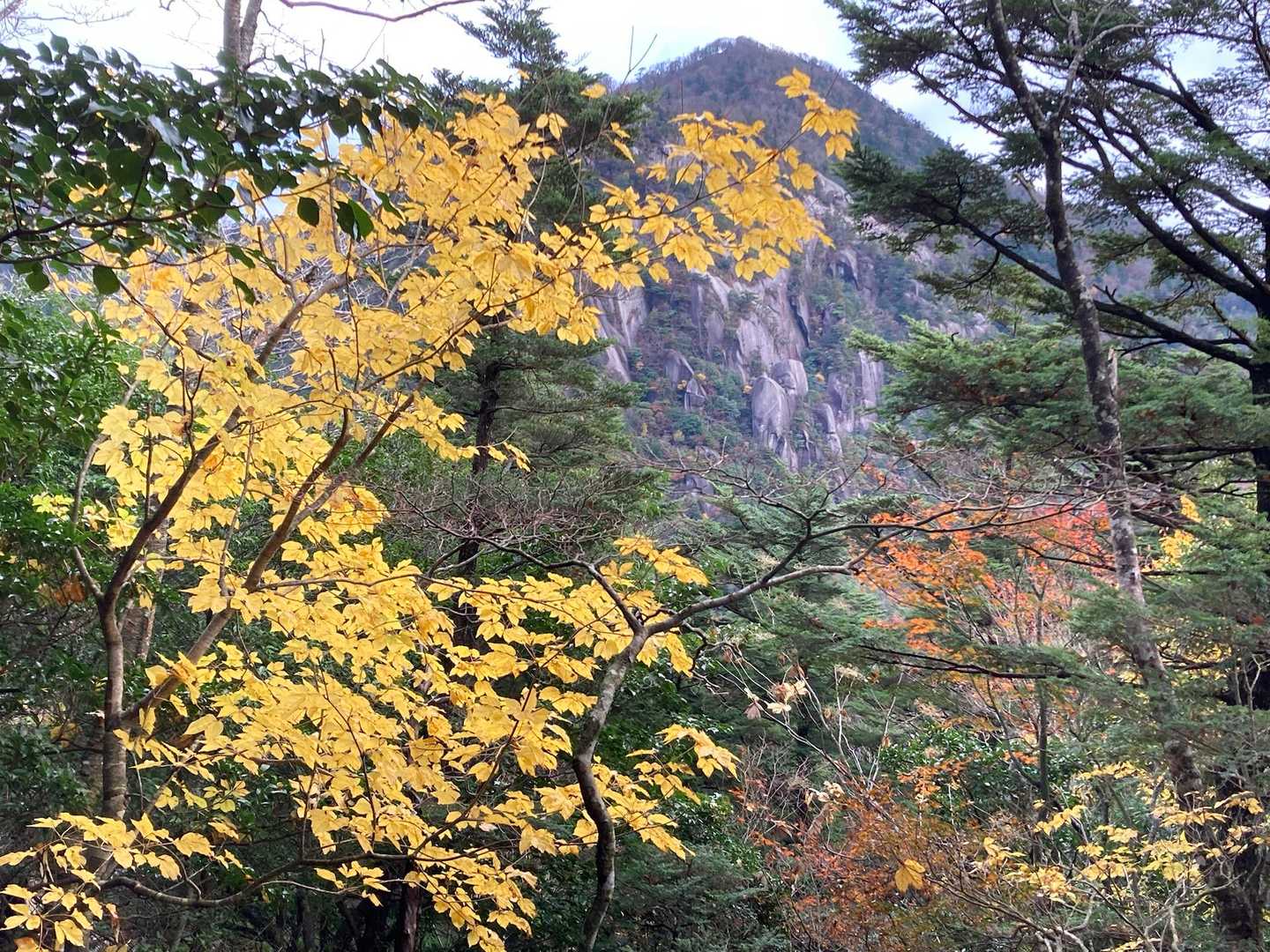 坊主尾根コース | ハシゴ・鎖場多数。九州最後の秘境と呼ばれる大崩山への写真