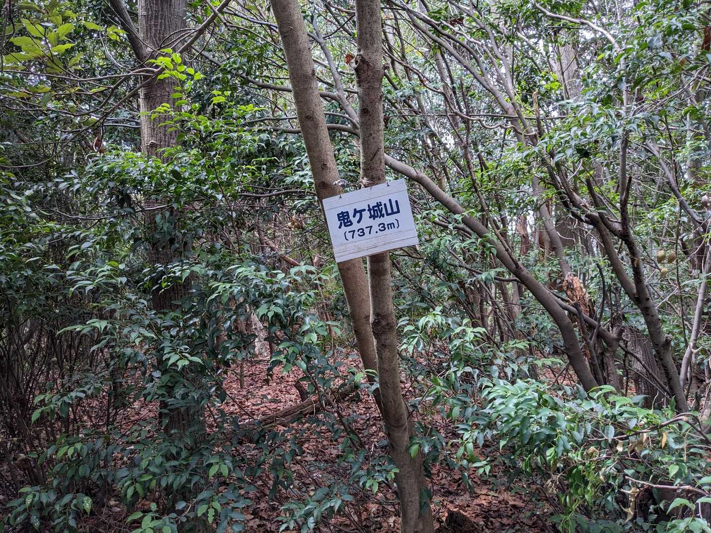 山頂を通り過ぎ、二十畳岩へ。