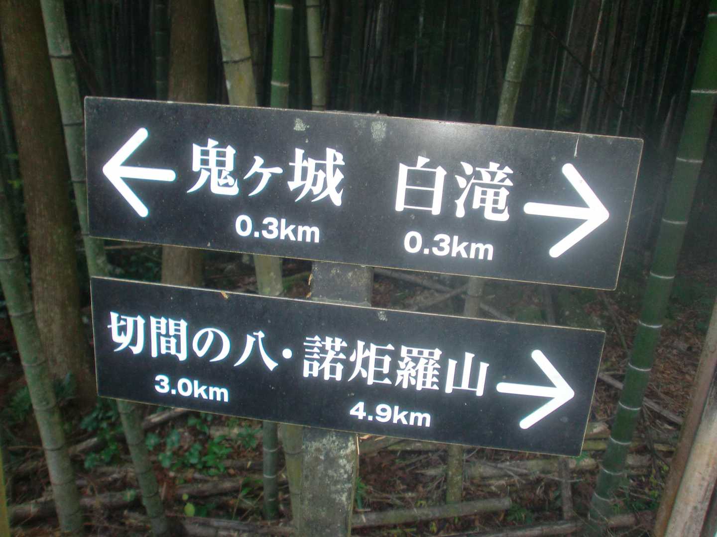 ん？鬼ヶ城？
熊野じゃないのに鬼ヶ城？
せっかくの機会なので行ってみます😌