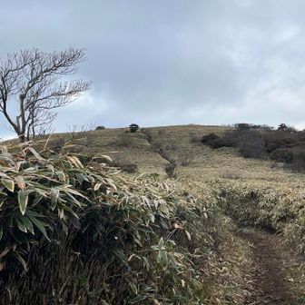 幸せロードスタート