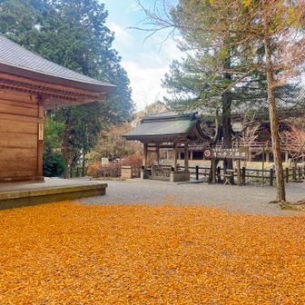 ワンコOKのお寺なので、
連れておられる方もチラホラ♪( ´▽｀)