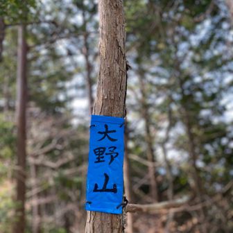 💙❤️💛💚💜　ここから青薙へ登り返し
あまりの遅さに💦迷子防止の鈴をつけられる🥲
本気で途中から林道に出たいと申し出…するが
「ない！！」と一喝される🥹