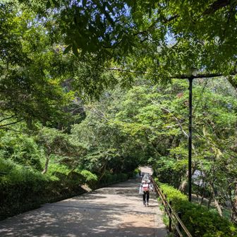 気温３７度も木陰は風が吹いて心地よい