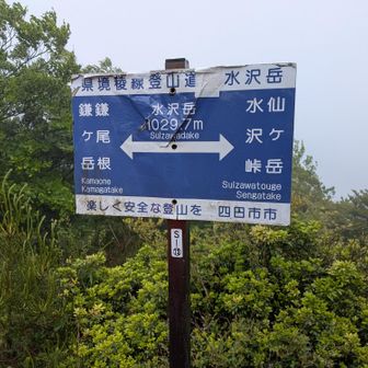 ここからが核心の稜線地獄の始まり😂