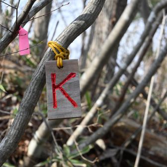 ここまで来れば五社山は近い。