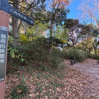 ２座目、稲荷山。ベンチあり