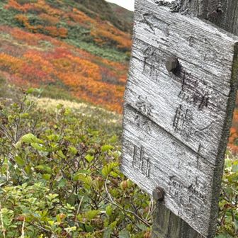 分岐点。
右手の乳頭山へ。