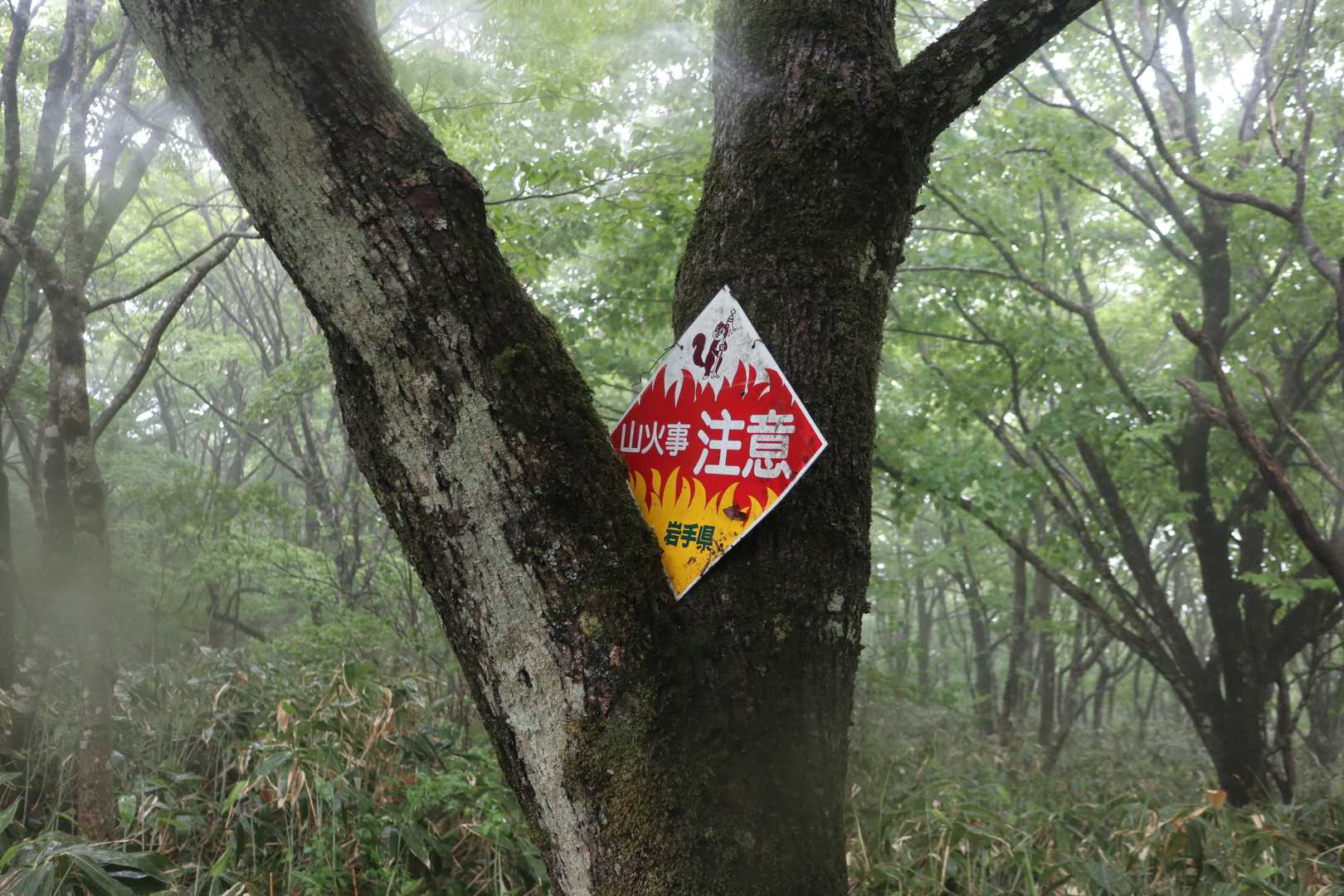 岩手県に来たなと感じる。
