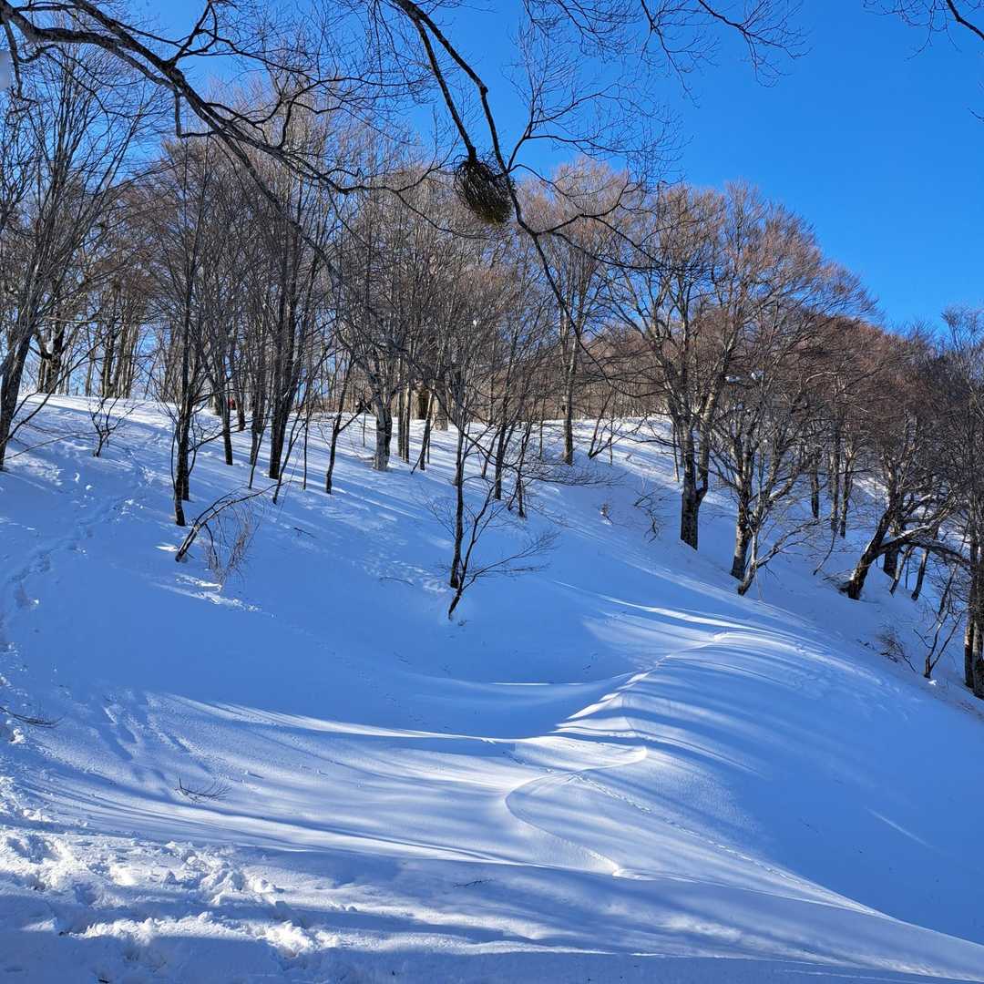 キレイだな✨
…と癒されつつも
