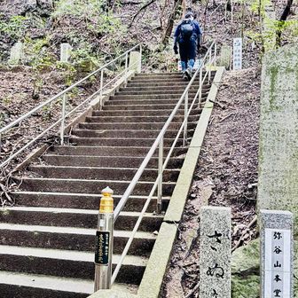 仁王門から本堂まで合計540段有る急勾配の参道
を登ります💦💦