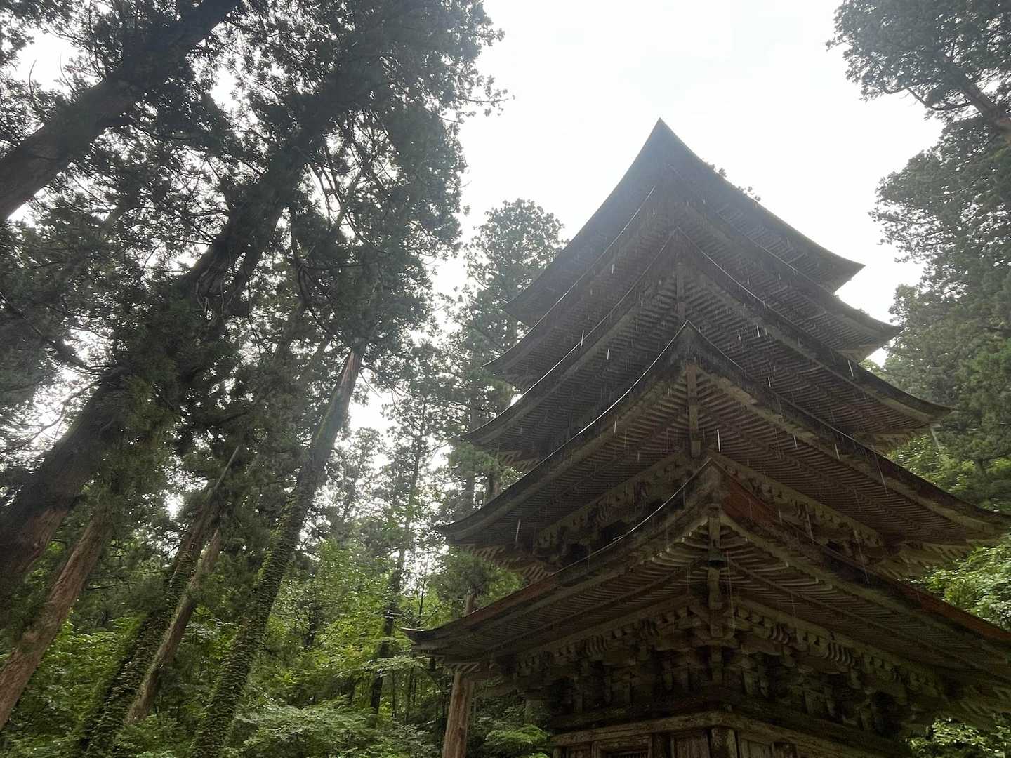巨木のスギと相まって、素晴らしく荘厳な空間
