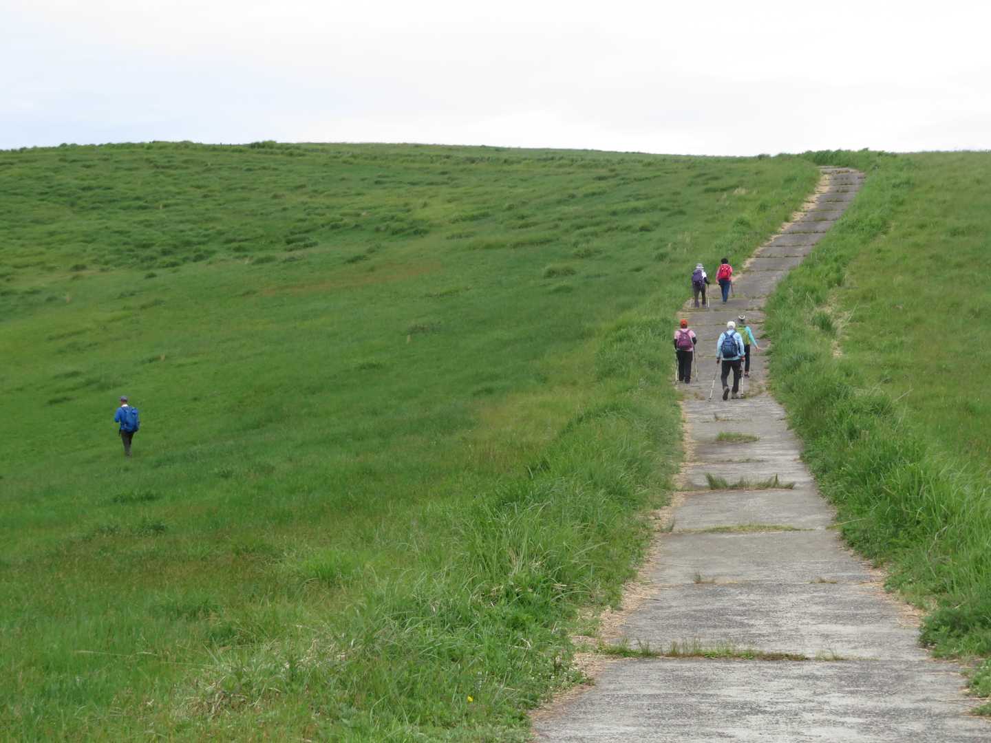 登山道