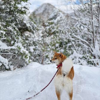 展望台にて
尖山とこまち