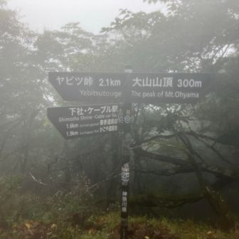 山頂まであと少し