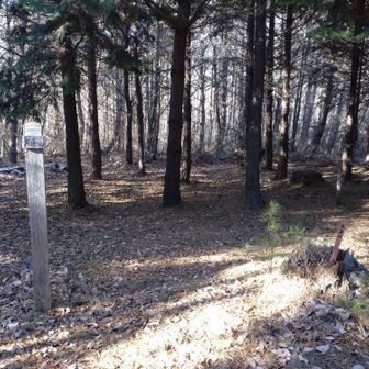 頂上には薄っすらと雪が積もっていました
今年初雪❄