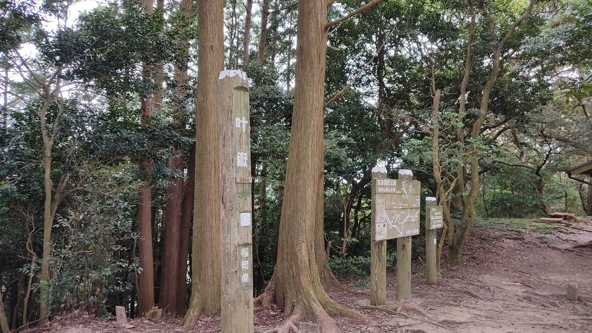 このペースで行くと下りに影響するかな？？