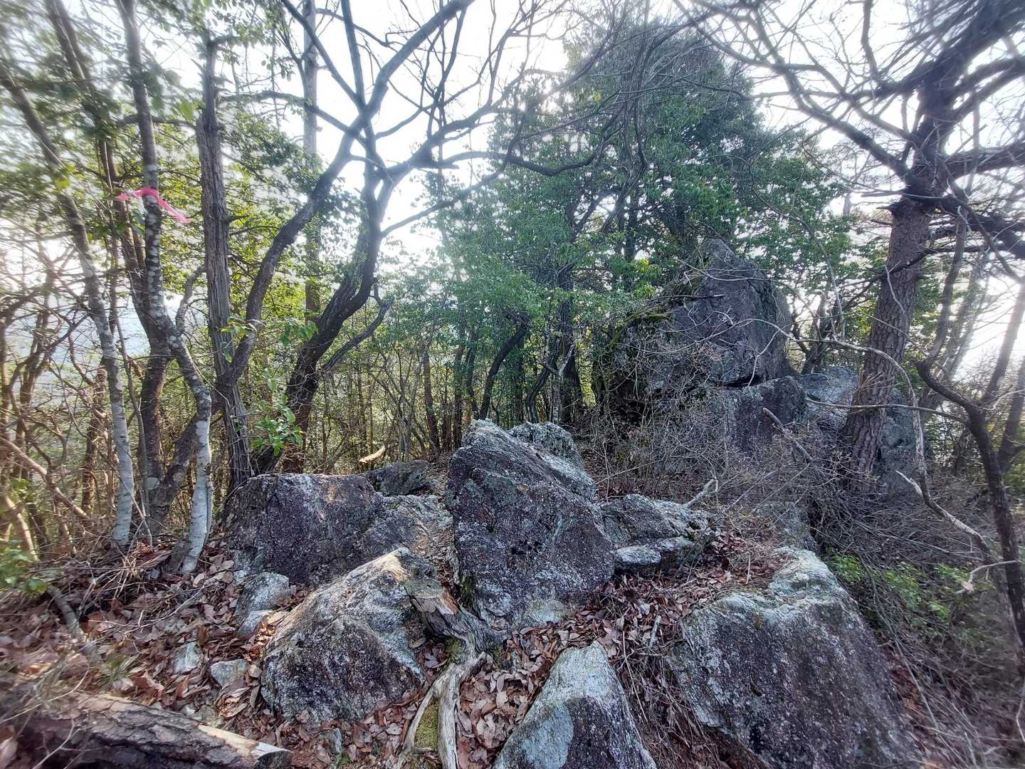 岩場もあります💦