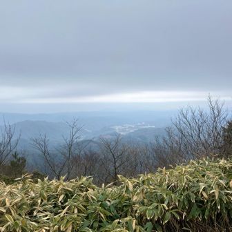 空はどんより②