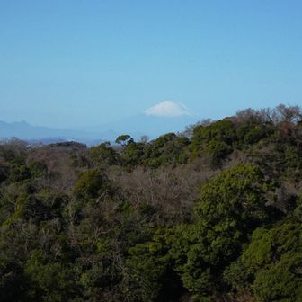 富士見展望台からはカスミ気味ですが美しい姿を見せてくれました。